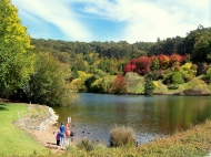 Mount Lofty, Botanic Garden Lake