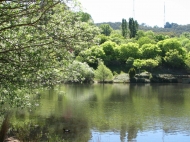 Mount Lofty, Botanic Garden Lake