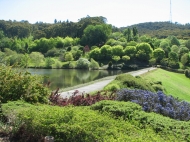 Mount Lofty, Botanic Garden Lake